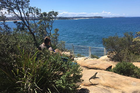 Manly Snorkel Trip And Nature Walk With Local Guide - Accommodation Newcastle 4