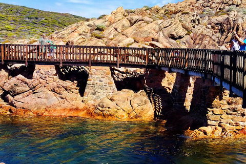 Margaret River (Private) Day Tour - Accommodation Newcastle 3