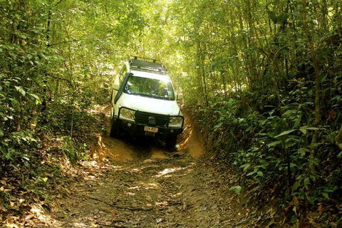 Barron Gorge And Kuranda National Park Half Day Rainforest And Waterfall 4WD Tour From Cairns - Accommodation Newcastle 2
