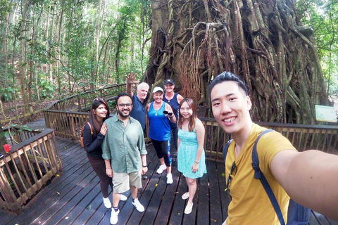 Barron Gorge And Kuranda National Park Half Day Rainforest And Waterfall 4WD Tour From Cairns - Accommodation Newcastle 5