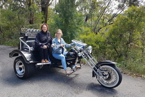 Blue Mountains 1-Hour Trike Tour Of Three Sisters - Accommodation Newcastle 1
