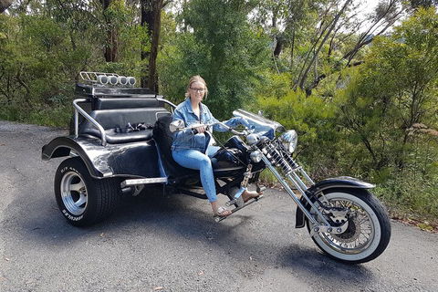 Blue Mountains 1-Hour Trike Tour Of Three Sisters - Accommodation Newcastle 4
