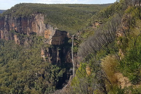 Blue Mountains 1-Hour Trike Tour Of Three Sisters - Accommodation Newcastle 5