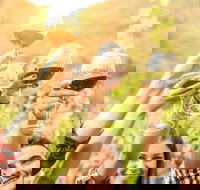 Adelaide Hills Day Tour. Winery Cellar Doors - Accommodation Newcastle