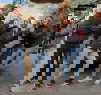 Guided Walking Tour in Adelaide - Accommodation Newcastle