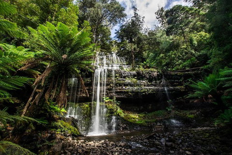 3-Day Tour To The Falls, Mountains, Lake & More Of West Coast Tasmania - Accommodation Newcastle 4