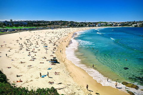 Sydney & Bondi Beach Plus Local Secrets With 'Personalised Sydney Tours' - Accommodation Newcastle 5