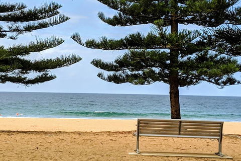 Manly & Sydney's Northern Beaches With 'Personalised Sydney Tours' - Accommodation Newcastle 0