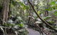 Erupting Blowholes And Ancient Rainforests With 'Personalised Sydney Tours' - thumb 2