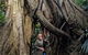 Erupting Blowholes And Ancient Rainforests With 'Personalised Sydney Tours' - thumb 4