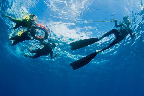 Passions Of Paradise Great Barrier Reef Snorkel And Dive Cruise From Cairns By Luxury Catamaran - Accommodation Newcastle 2