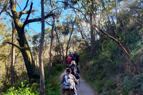 Self-Guided Waterfall Gully To Mount Lofty Hike From Adelaide - Accommodation Newcastle 1