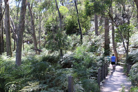 Self-Guided Waterfall Gully To Mount Lofty Hike From Adelaide - Accommodation Newcastle 2