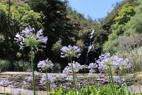Self-Guided Waterfall Gully To Mount Lofty Hike From Adelaide - Accommodation Newcastle 3