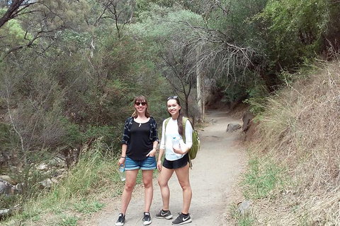 Self-Guided Waterfall Gully To Mount Lofty Hike From Adelaide - Accommodation Newcastle 4