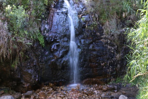 Self-Guided Waterfall Gully To Mount Lofty Hike From Adelaide - Accommodation Newcastle 5