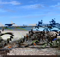 Adelaide City to Sea Bike Tour - Accommodation Newcastle