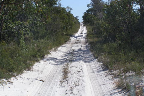 Stradbroke Island 4WD Day Trip From Brisbane - Accommodation Newcastle 2
