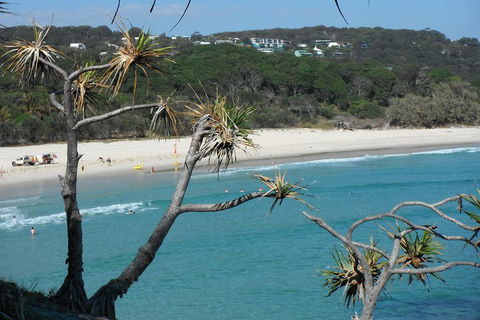 Stradbroke Island 4WD Day Trip From Brisbane - Accommodation Newcastle 5