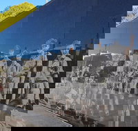 Cultural Caper Adelaide Walking Tour - Accommodation Newcastle