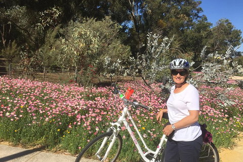 Perth Bike Tour - Beautiful Matilda Bay And Kings Park - Accommodation Newcastle 1