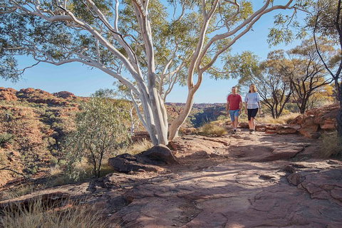 3-Day Tour From Uluru (Ayers Rock) To Alice Springs Via Kings Canyon - Accommodation Newcastle 1