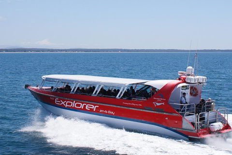 Whale Watching Jervis Bay - Accommodation Newcastle 1