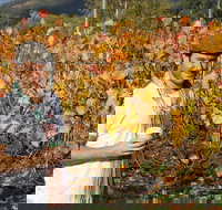 Signature Tour - Accommodation Newcastle