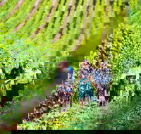 Tasmanian Wine Tour - Accommodation Newcastle