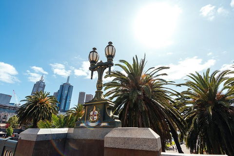 Highlights & Hidden Gems With Locals: Best Of Melbourne Private Tour - Accommodation Newcastle 0