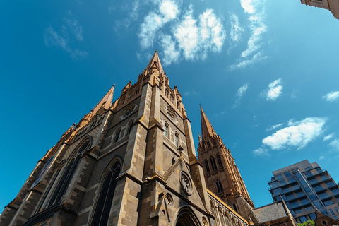Highlights & Hidden Gems With Locals: Best Of Melbourne Private Tour - Accommodation Newcastle 4