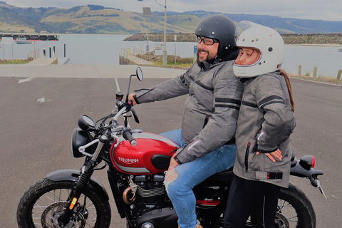 Triumph Street Scrambler 900cc - Accommodation Newcastle 1