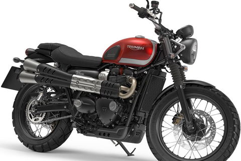 Triumph Street Scrambler 900cc - Accommodation Newcastle 3