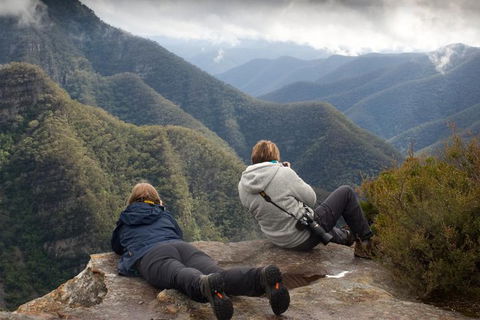 Inside The Greater Blue Mountains World Heritage - A Private Wildlife Safari Overnight - Accommodation Newcastle 0