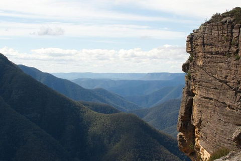 Inside The Greater Blue Mountains World Heritage - A Private Wildlife Safari Overnight - Accommodation Newcastle 4