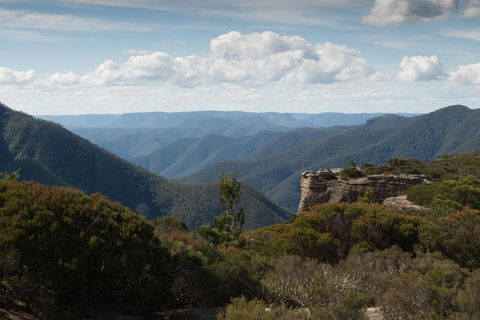 Inside The Greater Blue Mountains World Heritage - A Private Wildlife Safari Overnight - Accommodation Newcastle 5