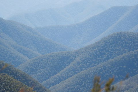 From The Mountains To The Bay - 4 Day Rediscovery Private Tour - Accommodation Newcastle 1