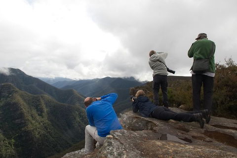 From The Mountains To The Bay - 4 Day Rediscovery Private Tour - Accommodation Newcastle 4