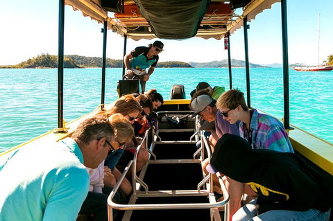 Airlie Beach Glass Bottom Boat Tour - Accommodation Newcastle 1