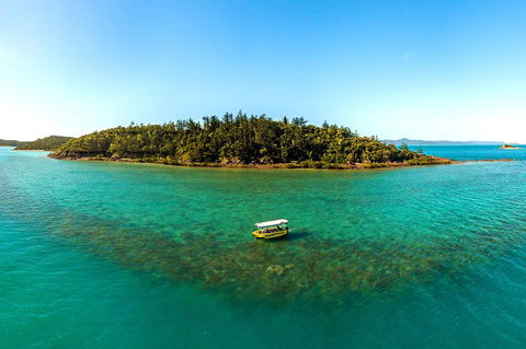 Airlie Beach Glass Bottom Boat Tour - Accommodation Newcastle 3
