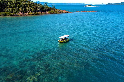 Airlie Beach Glass Bottom Boat Tour - Accommodation Newcastle 4