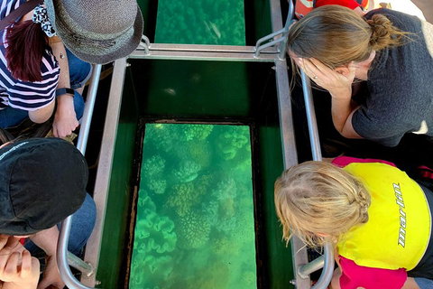 Airlie Beach Glass Bottom Boat Tour - Accommodation Newcastle 5