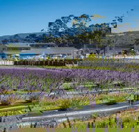 Private Hobart Discover South East Food and Scenic Tour - Accommodation Newcastle