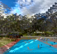 Tahune Airwalk Active Day Trip from Hobart Including Hastings Caves - Accommodation Newcastle