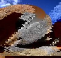 Full-Day Kangaroo Island Safari from Penneshaw - Accommodation Newcastle