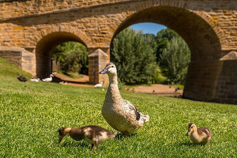 Richmond Historic Afternoon Tour From Hobart - Accommodation Newcastle 1