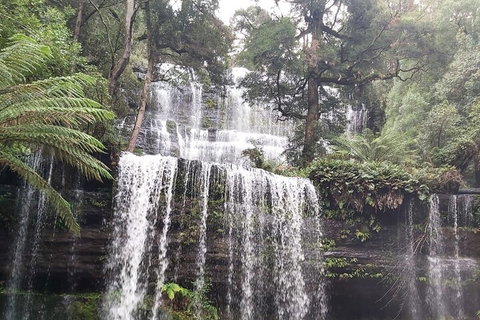 6-Day Hearty Tasmania Tour (Tasmania In A Circle) - Accommodation Newcastle 0