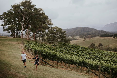 Luxury Blue Mountains Tour With Aussie BBQ Lunch And Wine Tasting - Accommodation Newcastle 3
