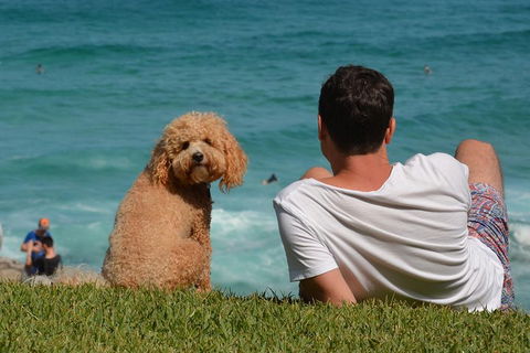 See Sydney With A Local: Private & Personalized - Accommodation Newcastle 5