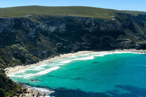 Kangaroo Island Scenic Trail Tour - Accommodation Newcastle 4